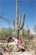Tucson 2563